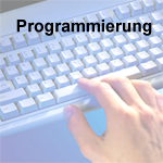 Business Software Ressing - Programmierung